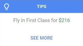 GoogleFlightsTipBox.jpg